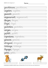 DSS_2S_Bu_ge_Nr_01.pdf